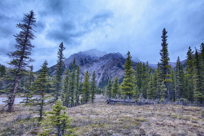 Обои картинки фото природа, реки, озера, горы, река, лес