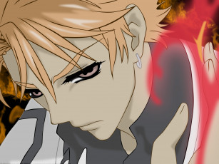 Картинка аниме vampire+knight vampire knight