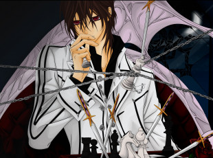 Картинка аниме vampire+knight персонаж