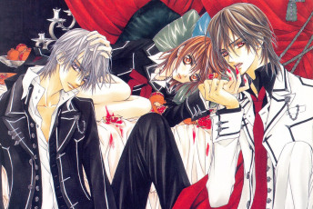 Картинка аниме vampire+knight vampire knight