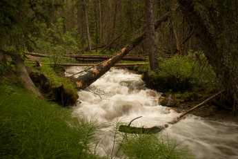 Картинка природа реки озера река лес горы