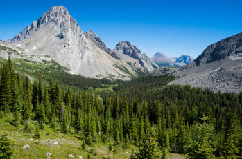 Картинка природа горы скалы