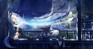 Картинка аниме животные +существа коты город девушка