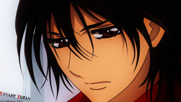 Картинка аниме vampire+knight парень