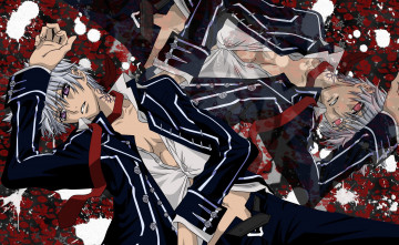 Картинка аниме vampire+knight персонаж