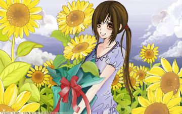 Картинка аниме vampire+knight девушка