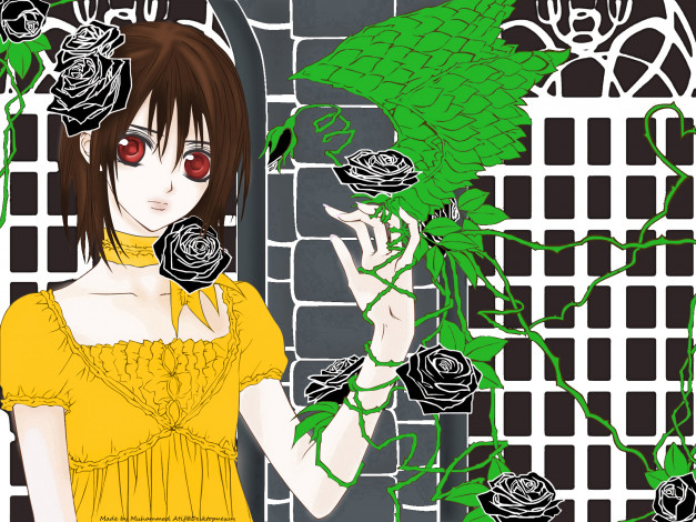 Обои картинки фото аниме, vampire knight, vampire, knight