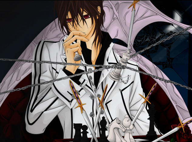 Обои картинки фото аниме, vampire knight, персонаж