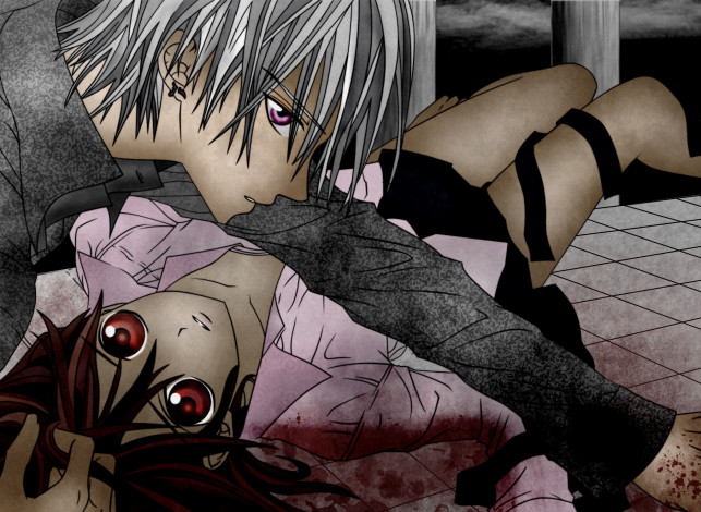 Обои картинки фото аниме, vampire knight, vampire, knight