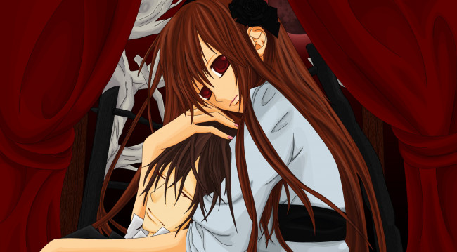 Обои картинки фото аниме, vampire knight, персонажи