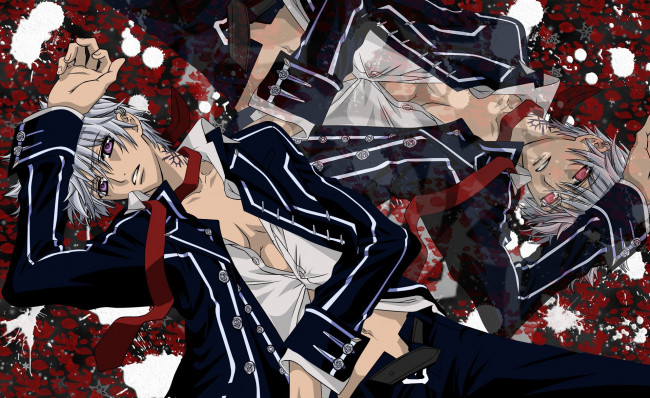 Обои картинки фото аниме, vampire knight, персонаж