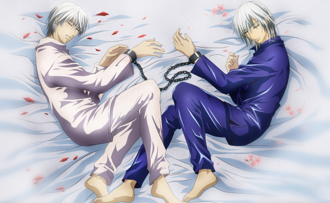 Обои картинки фото аниме, vampire knight, персонажи