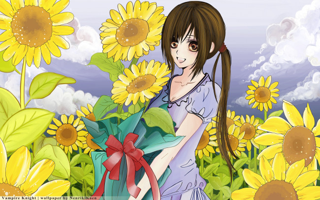 Обои картинки фото аниме, vampire knight, девушка