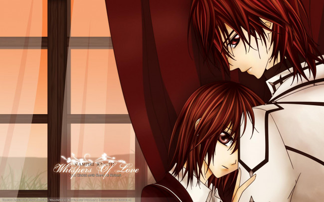 Обои картинки фото аниме, vampire knight, пара
