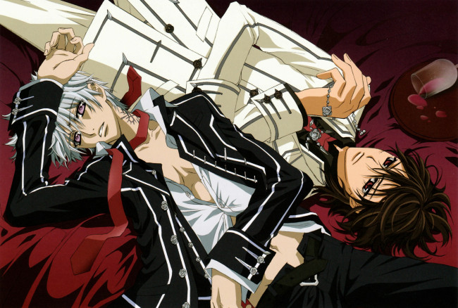 Обои картинки фото аниме, vampire knight, парни