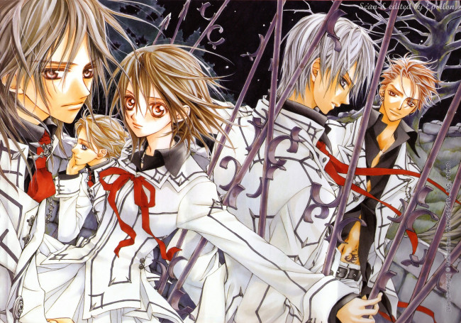 Обои картинки фото аниме, vampire knight, персонажи