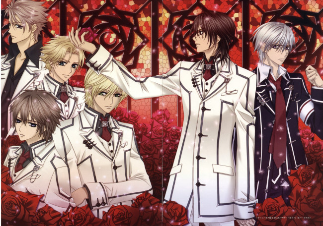 Обои картинки фото аниме, vampire knight, vampire, knight