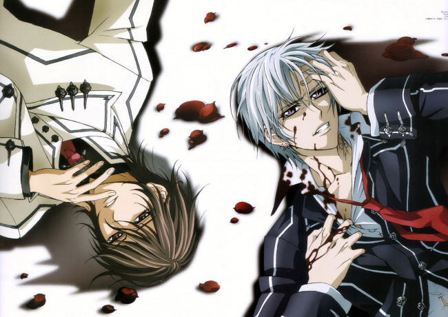 Обои картинки фото аниме, vampire knight, vampire, knight