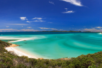 Картинка австралия природа побережье водоем яхты деревья