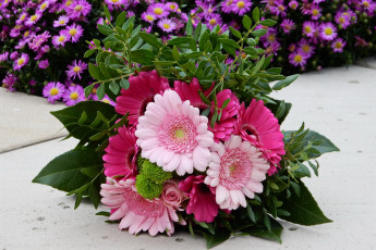 Картинка цветы букеты +композиции герберы