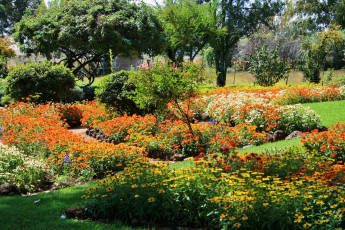 Картинка природа парк деревья клумбы цветы