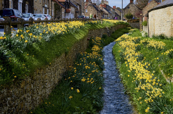 Картинка англия города -+улицы +площади +набережные вода канал здания машины нарциссы