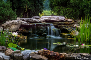 Картинка природа водопады парк