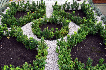 Картинка природа парк камни клумбы