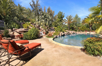 Картинка интерьер бассейны +открытые+площадки камни пальмы шезлонг