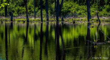 Картинка природа реки озера озеро