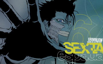 Картинка аниме bleach гриммджоу