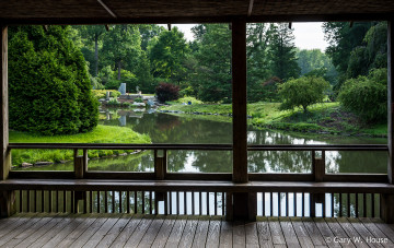 Картинка природа парк озеро