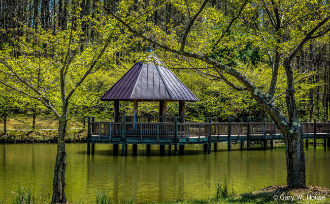 Обои картинки фото природа, парк