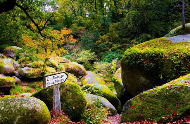 Обои картинки фото франция, природа, лес, деревья, камни