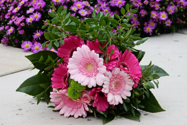 Обои картинки фото цветы, букеты,  композиции, герберы