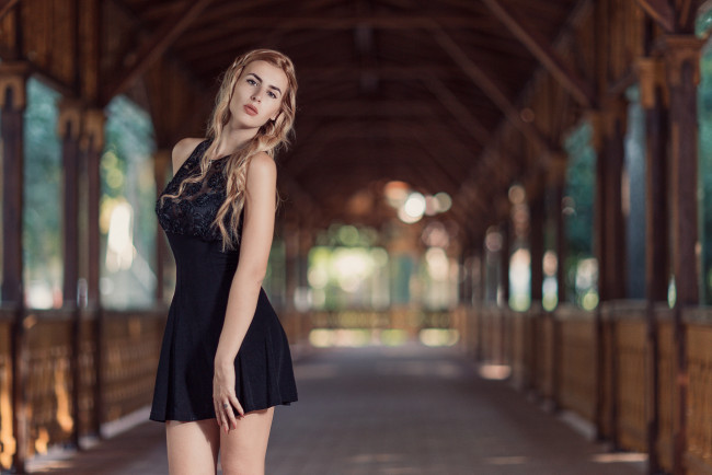 Обои картинки фото девушки, -unsort , блондинки, взгляд, блондинка, модель, девушка