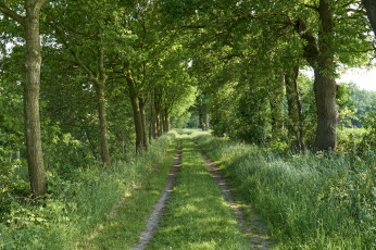 Картинка природа дороги простор