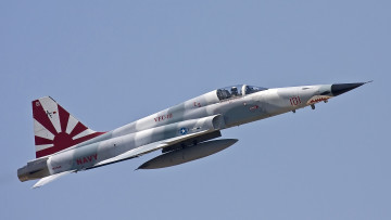 Картинка northrop+f-5+freedom+fighter авиация боевые+самолёты ввс сша многоцелевой истребитель northrop f-5