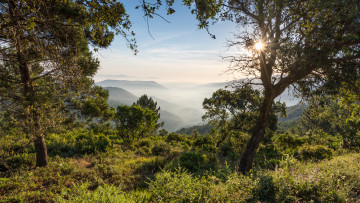 Картинка природа пейзажи простор