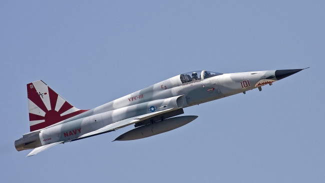 Обои картинки фото northrop f-5 freedom fighter, авиация, боевые самолёты, ввс, сша, многоцелевой, истребитель, northrop, f-5