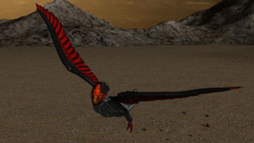 Картинка 3д+графика существа+ creatures полет птица