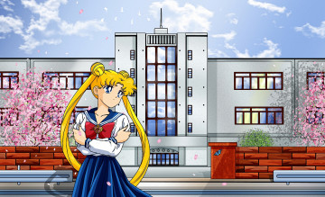 Картинка аниме sailor+moon tsukino девушка usagi