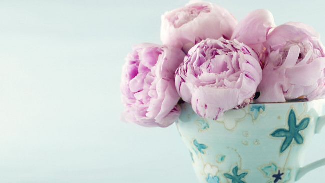 Обои картинки фото цветы, пионы, букет, ваза