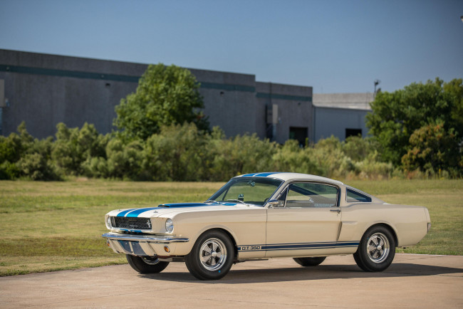 Обои картинки фото автомобили, mustang