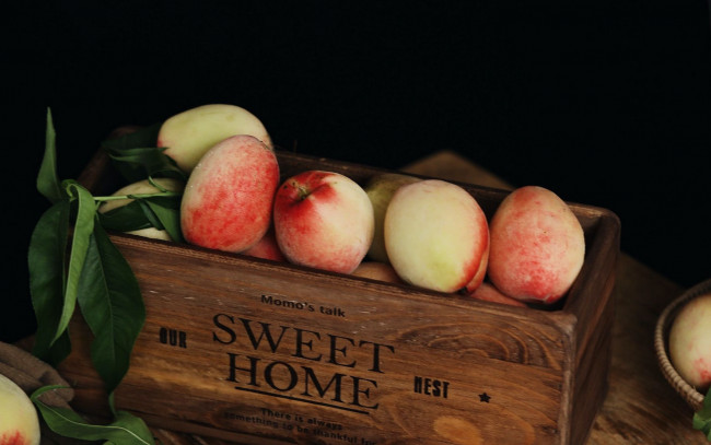 Обои картинки фото еда, персики,  сливы,  абрикосы