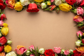 Картинка цветы розы рамка бутоны ассорти