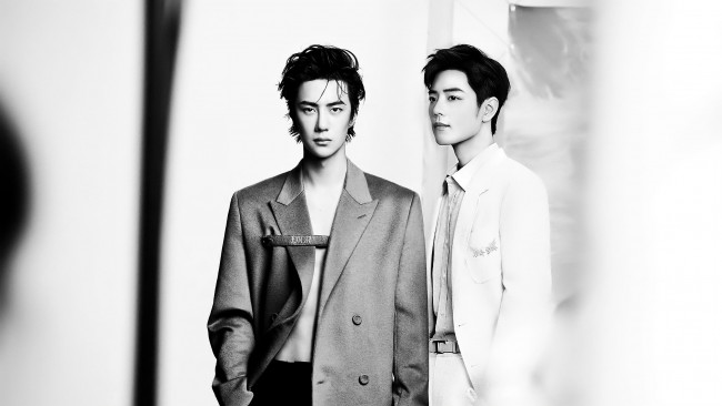 Обои картинки фото разное, компьютерный дизайн, ван, ибо, сяо, чжань