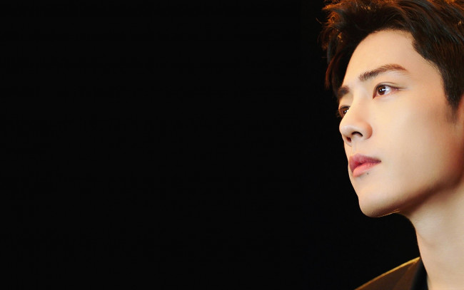 Обои картинки фото мужчины, xiao zhan, актер, лицо