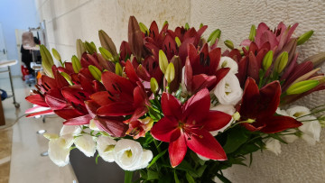 Картинка цветы букеты +композиции эустома белая букет лилии