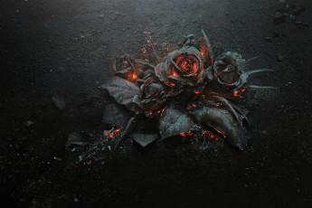 Картинка 3д+графика цветы+ flowers розы листья огонь